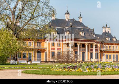 Wasserpalais au château de Pillnitz près de Dresde en Allemagne avec fleurs printanières Banque D'Images