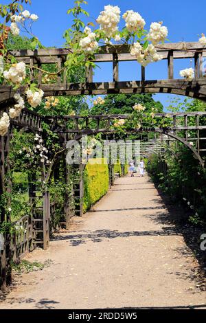 Rose Trellis, jardins, St Fagans National Museum of History/Amgueddfa Werin Cymru, Cardiff, Galles du Sud, Royaume-Uni. Banque D'Images