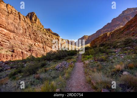 « Into Morning Light » prise sous le bord du Kiabab Trail, à mi-chemin du Phantom Ranch depuis le début du sentier North Rim Banque D'Images