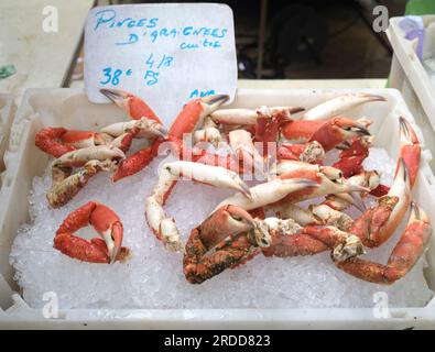 Fruits de mer en vente au marché d'Aix en Provence France Banque D'Images