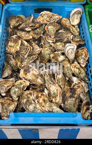 Fruits de mer en vente au marché d'Aix en Provence France Banque D'Images