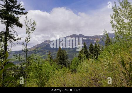 Vue de jour sur le paysage de Treasure Falls au Colorado Banque D'Images