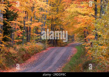 « Tunnel Road » au-dessus de Houghton, Michigan plonge et tourne entre les bois durs devenant rouge, orange et or alors que l'automne frappe la péninsule supérieure. Banque D'Images