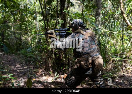 ÉTATS-UNIS Corps des Marines Cpl Philip Brandon, un tireur de la Fox Company, 2e Bataillon, 25e Régiment des Marines, 4e Division des Marines, Réserve des Forces Marines, Effectue un exercice de patrouille dans la jungle tout en participant à l'école d'entraînement amphibie de la jungle (JATS) pendant Tradewinds 2023 au site d'entraînement de la zone de jungle, Guyana, le 18 juillet 2023. Tradewinds est un américain Exercice parrainé par le Commandement Sud visant à renforcer les partenariats et l’interopérabilité, à promouvoir les droits de la personne et à accroître la capacité de formation de tous les participants et leur capacité à atténuer, planifier et réagir aux crises et aux menaces à la sécurité. Rodriguez l'est Banque D'Images