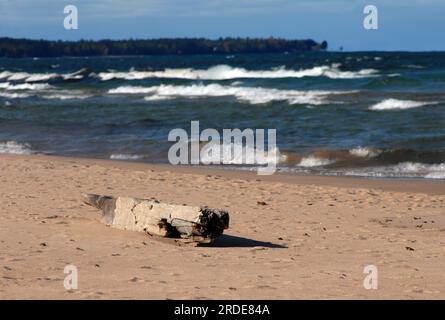 Un gros morceau de bois flotté repose sur le sable du lac supérieur dans la péninsule supérieure, au Michigan. Les vagues se lavent sur le rivage et atterrissent vers l'horizon. Banque D'Images