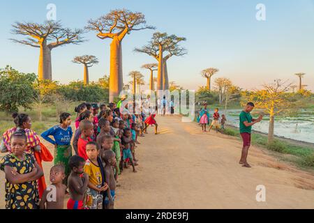 Morondava, Madagascar - 29 mai 2023 : beaucoup de gens au coucher du soleil à l'avenue Baobab Trees allee près de Morondava à Madagascar Banque D'Images