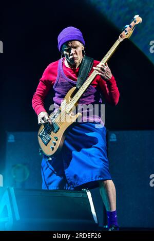 Bassiste des Red Hot Chili Peppers Banque D'Images