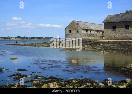 Marée basse et vue de la chaussée à l'Ile de Berder de la rue de Berder, Larmor Baden, vannes, Morbihan, France Banque D'Images