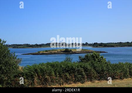 Vue sur l'île d'er Lannic depuis l'île de Gavrinis, Golfe du Morbihan, Morbihan, Bretagne, France Banque D'Images