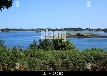 Vue sur l'île d'er Lannic depuis l'île de Gavrinis, Golfe du Morbihan, Morbihan, Bretagne, France Banque D'Images