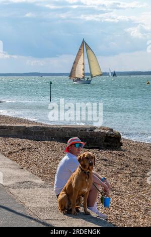 homme et chien assis sur la plage à cowes sur l'île de wight regardant le yacht courir sur une journée ensoleillée d'été. un homme et son chien, mans meilleur ami. Banque D'Images