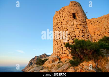 Torre de Cala en Basset. Andratx. Îles Baléares. Espagne. Banque D'Images