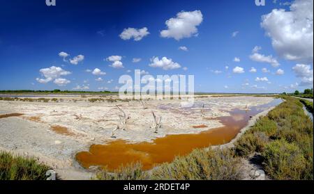 Es Coverany, Salinas de es Trenc, es Trenc-Salobrar de Campos, zone naturelle d'intérêt particulier, municipalité de Campos, Majorque, Îles Baléares, S Banque D'Images