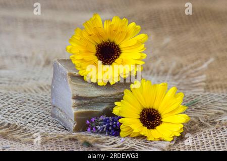 Savon naturel fait à la main avec calendula, lavande et herbes sur fond de bois rustique Banque D'Images