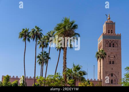 La mosquée Kutubiyya est la plus grande mosquée de Marrakech, au Maroc. Situé dans le quartier sud-ouest de la médina de Marrakech, près de la célèbre place publique Banque D'Images