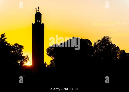 13 novembre 2021, Médina, Marrakech, MARS : la mosquée Kutubiyya est la plus grande mosquée de Marrakech, au Maroc. Il est situé dans la médina sud-ouest Banque D'Images