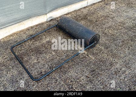 Rouler les graines d'herbe fraîchement semées avec un rouleau métallique rempli d'eau. Banque D'Images
