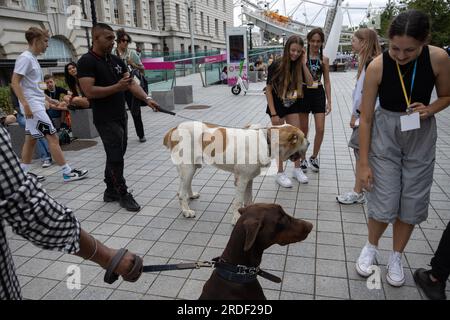 Les jeunes touristes se rassemblent autour de deux grands chiens alors qu'ils s'arrêtent pour les caresser sur le Southbank, Londres, Angleterre, Royaume-Uni Banque D'Images