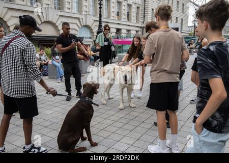 Les jeunes touristes se rassemblent autour de deux grands chiens alors qu'ils s'arrêtent pour les caresser sur le Southbank, Londres, Angleterre, Royaume-Uni Banque D'Images