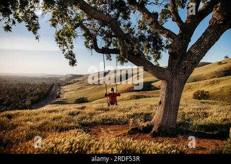 Jeune femme sur la balançoire d'arbre dans les collines verdoyantes Banque D'Images