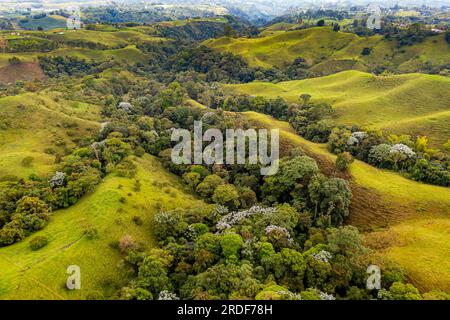 Antenne du site UNESCO du paysage culturel du café, Filandia, Colombie Banque D'Images