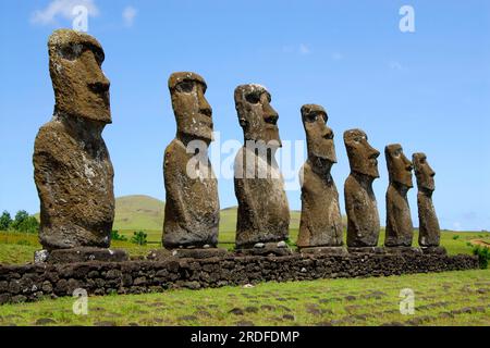 Sculptures en pierre de Moai (Roa (poisson)) Hanga, Rapa Nui, Île de Pâques, Moai, Chili Banque D'Images