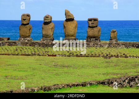 Sculptures en pierre de Moai (Roa (poisson)) Hanga, Rapa Nui, Île de Pâques, Moai, Chili Banque D'Images