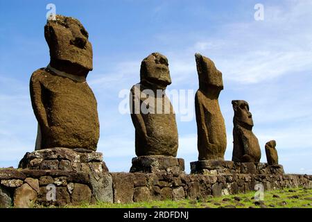 Sculptures en pierre de Moai (Roa (poisson)) Hanga, Rapa Nui, Île de Pâques, Moai, Chili Banque D'Images