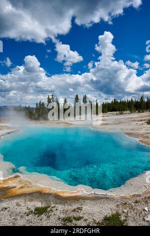 Black Pool am West Thumb, Yellowstone-Nationalpark, Wyoming, Vereinigte Staaten von Amerika |Black Pool at West Thumb, Yellowstone National Park, Wyom Banque D'Images