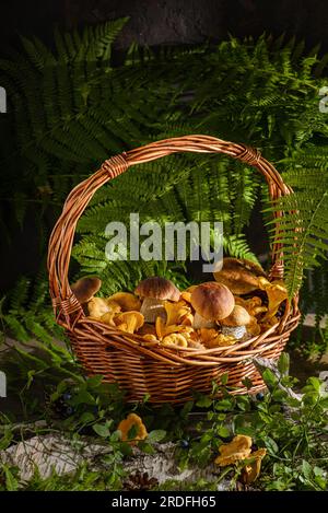 panier avec des champignons sauvages dans une forêt. champignons porcini et chanterelles Banque D'Images