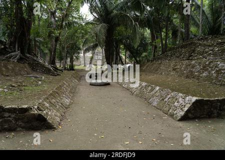 Le terrain de bal cérémoniel dans les ruines de la ville maya dans la réserve archéologique de Lamanai, Belize. Banque D'Images