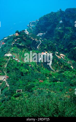 Falaise, Ravello, Côte amalfitaine, Campanie, Italie Banque D'Images