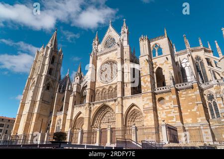 Spectaculaire cathédrale de Léon. La cathédrale Santa María de Regla de León est une église catholique située dans le vieux centre-ville de Léon. Banque D'Images