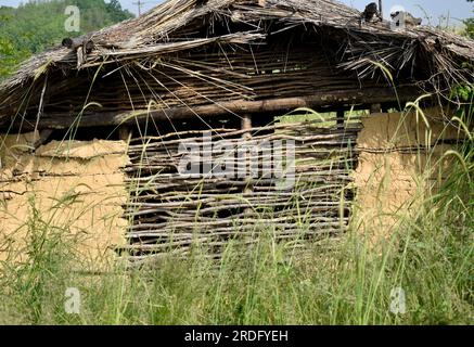 Gros plan d'une petite maison de boue avec toit en bois. Herbe au premier plan. Banque D'Images