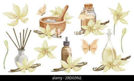 Huile essentielle de vanille avec fleurs et bâtonnets. Aquarelle dessinée à la main ensemble d'illustrations de bouteilles avec des ingrédients pour l'aromathérapie sur fond blanc isolé. Flacons rétro pour saveur cosmétique. Banque D'Images