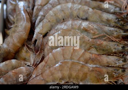 Pile de crevettes crues congelées, crustacé (une forme de coquillage) avec un corps allongé et un mode de locomotion principalement nageant, Caridea ou Dendrobr Banque D'Images