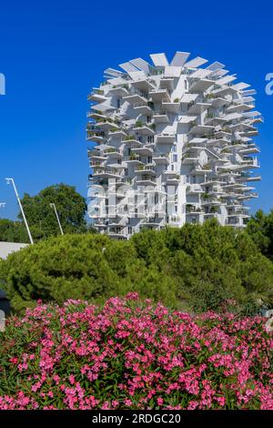 L'arbre blanc - arbre blanc - à Montpellier. Modelé sur un arbre, le bâtiment incurvé de 17 étages contient 113 appartements avec balcons en porte-à-faux. Banque D'Images