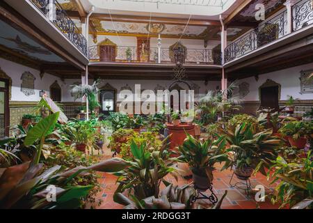 Cour avec plantes à Los Remedios Sanctuary Interior - Olvera, Andalousie, Espagne Banque D'Images