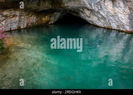 Eaux émeraude par une grotte de mer à Lokrum Island - Dubrovnik, Croatie Banque D'Images