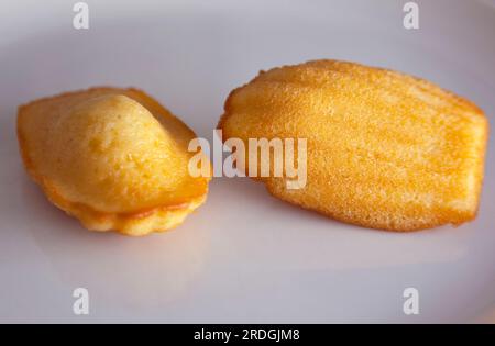 Nourriture, cuisinée, gâteau, gâteaux à la Madeleine française. Banque D'Images