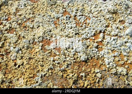 Les eaux acides de Rio Tinto provenant des mines de Riotinto. Ces eaux toxiques contiennent des métaux lourds et des bactéries extremophiles (Acidithiobacillus ferrooxidans et L Banque D'Images