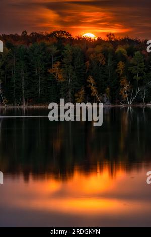 La lune se lève au-dessus des arbres colorés d'automne sur la rive d'un lac de Northwoods pendant la saison des récoltes. Banque D'Images