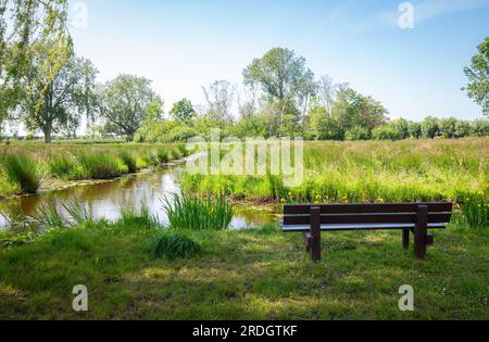 Vue idyllique depuis un banc de front de mer dans la zone de loisirs ' 't Weegje' entre Gouda et Waddinxveen, pays-Bas Banque D'Images