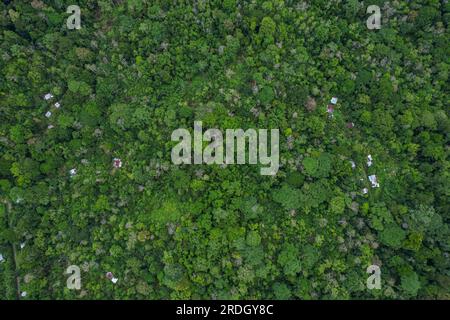 Belle vue aérienne de la forêt tropicale du Costa Rica dans la région de Talamanca Banque D'Images