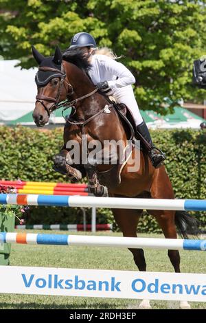 concours d'équitation en allemagne Banque D'Images