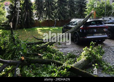 Conséquences de la nouvelle tempête qui a frappé Zagreb. Un arbre est tombé sur une voiture dans la cour de l'Académie des Arts Deux jours après la tempête dévastatrice, une autre tempête est arrivée en Croatie, un avertissement rouge a été émis pour l'Istrie, le Kvarner, le Gospić, Karlovac, la région de Zagreb et la Slavonie. Un avertissement orange est toujours en vigueur dans le reste du pays. Une tempête violente a d'abord touché l'Istrie et le Kvarner. La grêle est tombée, un vent fort a déraciné les arbres. La tempête s'est déplacée à l'intérieur de la Croatie dans l'après-midi. Encore une fois, de grands dégâts ont été faits, à Zagreb, en Croatie, le 21 juillet 2023. Photo : Josip Regovic/PIXSELL Banque D'Images