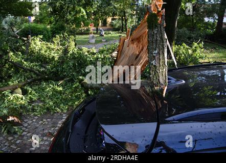 Conséquences de la nouvelle tempête qui a frappé Zagreb. Un arbre est tombé sur une voiture dans la cour de l'Académie des Arts Deux jours après la tempête dévastatrice, une autre tempête est arrivée en Croatie, un avertissement rouge a été émis pour l'Istrie, le Kvarner, le Gospić, Karlovac, la région de Zagreb et la Slavonie. Un avertissement orange est toujours en vigueur dans le reste du pays. Une tempête violente a d'abord touché l'Istrie et le Kvarner. La grêle est tombée, un vent fort a déraciné les arbres. La tempête s'est déplacée à l'intérieur de la Croatie dans l'après-midi. Encore une fois, de grands dégâts ont été faits, à Zagreb, en Croatie, le 21 juillet 2023. Photo : Josip Regovic/PIXSELL Banque D'Images