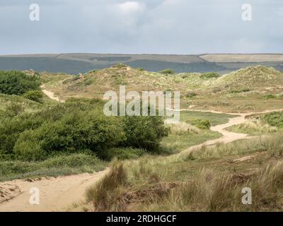 Vue sur le paysage de dunes de sable de Braunton Burrows, North Devon, Royaume-Uni. SSSI et une partie de la Biosphère. Banque D'Images