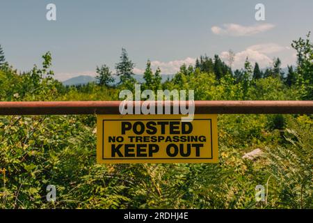 panneau jaune interdisant les intrusions indiquant « interdiction d'entrer » sur le portail dans la forêt, les bois, les terres, les propriétés privées Banque D'Images