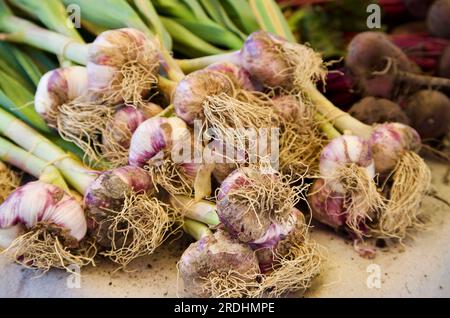 Ail et betterave fraîchement récoltés pour la vente au marché des fermiers en France en été. Banque D'Images